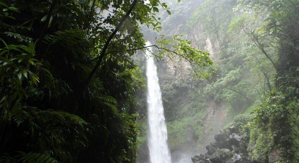 Sari Sari Falls, La Plaine, Saint Patrick Parish, Dominica
